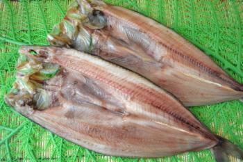 大吉水産(大吉水産)/【特大大】【北の味】真ホッケ☆満足の大きさ！脂のりも抜群！【ご飯のお供に】【おつまみに】ネット特別価格！