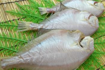 大吉水産(大吉水産)/【北海道産！】【極上の一夜干し宗八かれい】上品でたんぱくな白身！