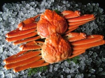 カネヨ木村水産(カネヨ木村水産)/こちらは３ケースのセットになります、１ケース２尾入×３ケース（合計６尾）の発送になります！！！　【船冷ズワイガニ】　【１匹約１キロのジャンボサイズ】　【ボイル済み】　【船上冷凍】　【数量限定】　【１箱に２尾入ったセット】　【身入８割～９割】　ここまでのサイズの船冷ズワイガニがこの価格ではまず考えられません！！数に限りがありますのでお早めにどうぞ！！！