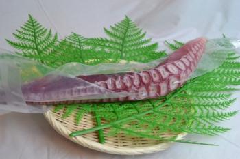 カネショウ(カネショウ)/【まとめ買いがお得！】1・5キロ前後【特特大サイズ】【道内特産品】【ビッグサイズ！】タコ足☆【新鮮真空パック】一本丸ごと！！煮物やお刺身いろんな食べ方で！