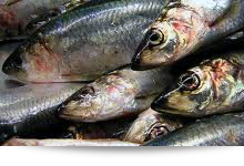 >糠にしんは歴史のある保存食!